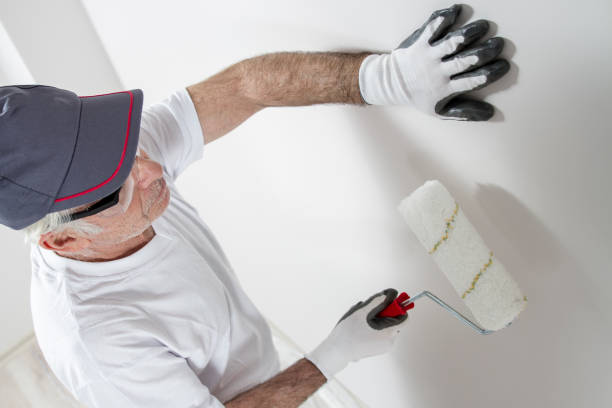 Best Drywall Crack Repair  in Southern View, IL